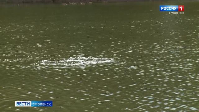 С начала купального сезона в смоленских водоемах утонули девять человек