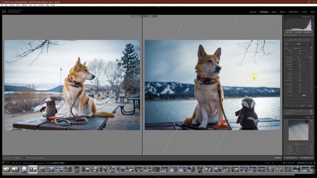 How to Edit Photos in Adobe Lightroom Classic with David Luong | NVIDIA Studio Sessions смотреть онлайн