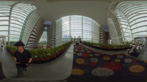 Как попасть в Марина Бэй бесплатно. Лайфхак для туристов в Сингапуре. Marina bay sands hotel free :