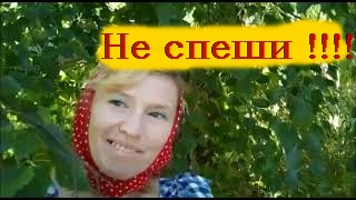 Жизнь без спешки  Нудьги и Семёновны
