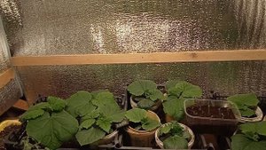 MARS HYDRO*МАРС ГИДРО*Лампа-Огонь лучшая для рассады.