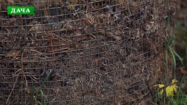 ?ЧТО ДЕЛАТЬ С ОПАВШИМИ ЛИСТЬЯМИ ? лучшие способы использования листьев в саду смотреть онлайн