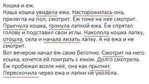 Типы речи. Урок в 5 классе