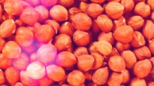 ФУНДУК ПОЛЬЗА И ВРЕД | лесной орех польза, лесной орех фундук полезные свойства, чем полезен фундук