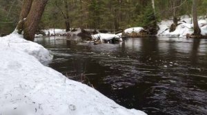 Весенняя речка в лесу. Еще не все растаяло, но ручьи текут!