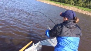 Щука на спиннинг. Река Обь рыбалка