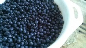 Варенье из черники без сахара