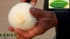 Машина для очистки лука от шелухи от РостПищМаш