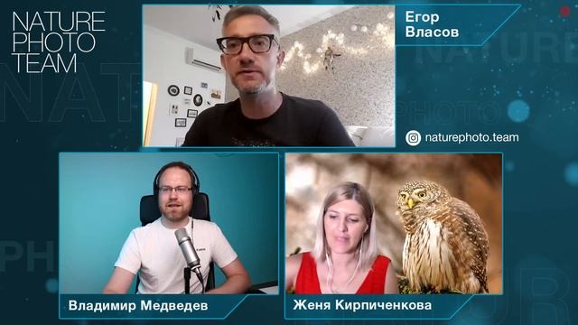 ФОТООХОТА  съёмка птиц в городе