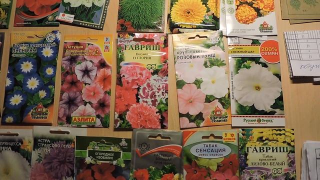 Какие цветы я буду выращивать в 2022 году. Обзор семян. смотреть онлайн