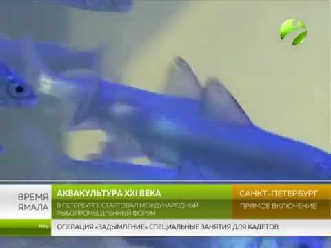 Новые технологии аквакультуры