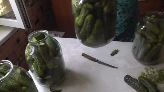 Солим огурцы на зиму под пластмассовыми крышками смотреть онлайн