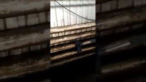 Как отмыть стены на мойке