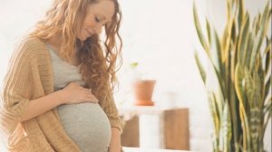 БЕРЕМЕННОСТЬ ДВОЙНЕЙ | Календарь беременности двойней по неделям