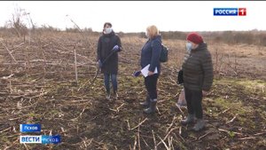 Многодетная семья получила земельный участок, на который не проехать