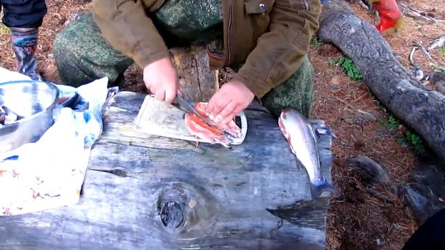 Приготовление свежепойманной форели