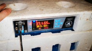 Всё о Птице на канале - "Птичье Царство - легко и просто"