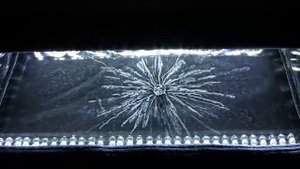 Распад урана-238 в камере Вильсона