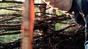 Забираем мëд с пасеки с помощью воздуходувки