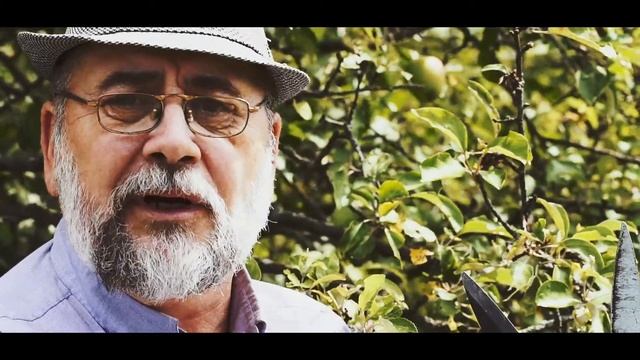 Работы в саду - ножницы для живой изгороди смотреть онлайн