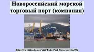Новороссийский морской торговый порт (компания)