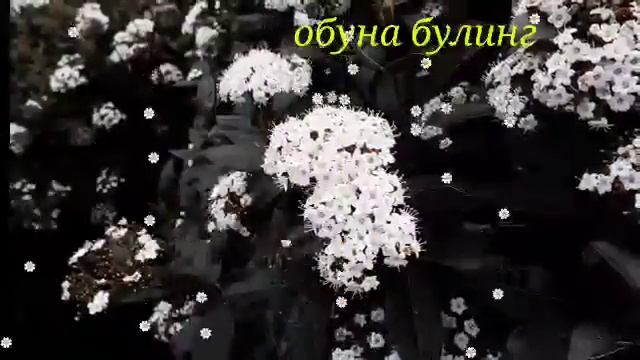 ӮГАЙ АКА ВА СИНГИЛ... БАРДОШИНГИЗ ЕТСА КӮРИНГ.. смотреть онлайн