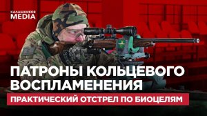 Патроны кольцевого воспламенения практический отстрел по биоцелям