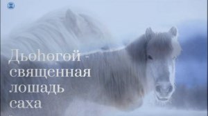 Волшебная шкатулка 2 выпуск