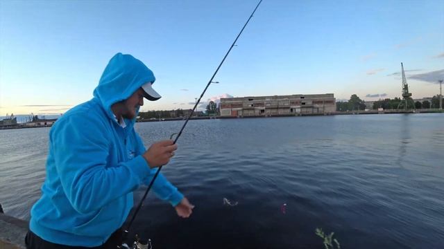 Ловля СУДАКА на ДЖИГ в центре города Рига летом на закате! В ПОРТУ реально много судака! смотреть онлайн