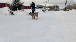 Мои любимые и преданные друзья ???