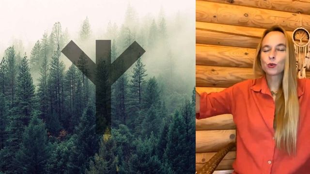 Руна Альгиз. Защита в эпоху перемен. Олеся Добровольская.