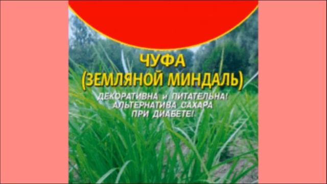 Чуфа- земляной миндаль