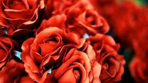 Лучшая русская музыка радио дача онлайн