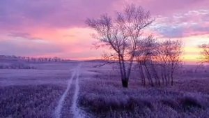 Сура "Аль джинн" против джиннов.