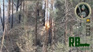 Огневое поражение зажигательными боеприпасами склада ВСУ в районе н.п. Червоная Диброва