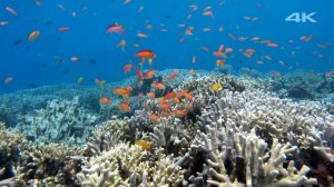 Прекрасное море короче природа\