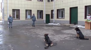 В Ворошиловском социально реабилитационном центре прошла военно патриотическая игра «Зарница под Ст
