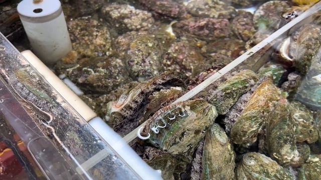 Самый чистый рынок морепродуктов. Рыбный рынок Чагальчхи