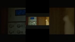 Корни - "25 этаж"