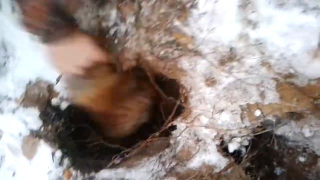 Работа Хриз смотреть онлайн