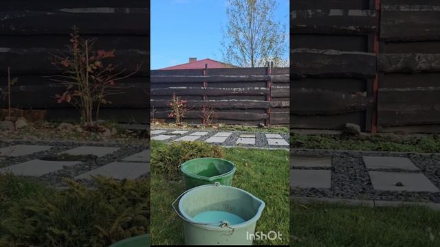 Осенняя обработка бордосской жидкостью 3%? смотреть онлайн