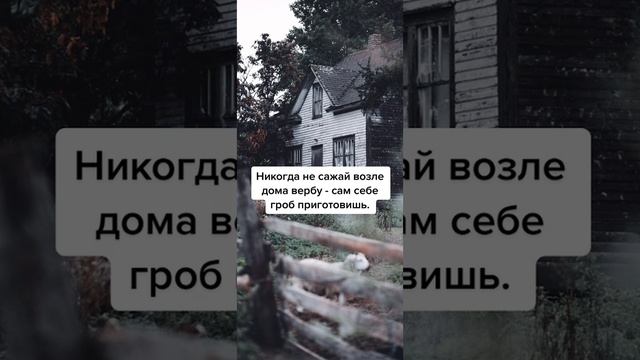 19-03-2023