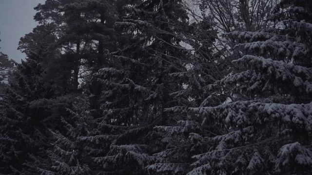 уехали в зиму/ сказочная Карелия ч.1
