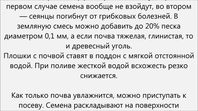 Портулак уход.Цветы портулак уход смотреть онлайн