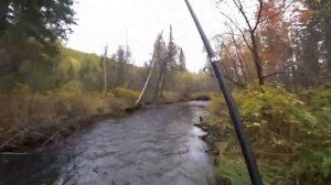 Осенняя глухая Тайга /Ловля ХАРИУСА/Неразведанный  участок реки/  ХАРИУС ПОКАТИЛСЯ!!!