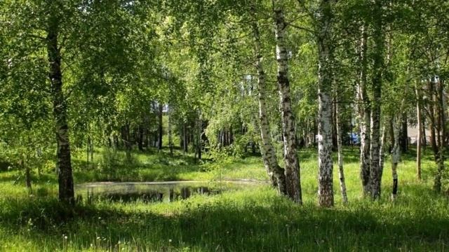 Геннадий Тимофеев Золотая грусть смотреть онлайн