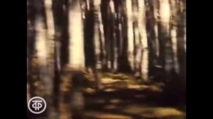 Эх, любовь-калинушка... С.Есенин Т.Доронина