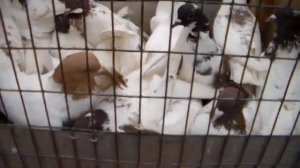 Рынок Соловки.Декабрь 2021.Solovki Market.