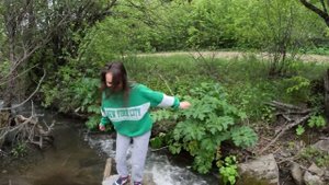 Армения-природа, ежики в тумане,Заповедник Шикахог  #армения #горы #природа