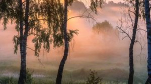 Внешность Грядущего Царя. Как выглядит будущий Правитель.